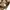 Vintage Casual Pria khaki cream photo 5