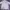 Dickies Streetwear Hoody Pria silver photo 1