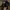 MLB Streetwear Sportswear Hat Pria gold black photo 2