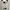The North Face Streetwear Gorpcore Sweatshirt Pria white photo 3
