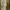 Luxury Muslim Maxi dress Wanita cream photo 1