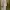 Luxury Muslim Maxi Dress Wanita Cream