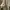 Luxury Muslim Maxi dress Wanita cream photo 2