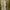 Luxury Muslim Maxi dress Wanita cream photo 3