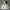 Dickies Vintage Streetwear Hoody Pria gray photo 1