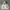 Vintage Streetwear Hoody Pria gray photo 1