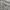 Levi's Y2K Casual Formal shirt Pria white gray photo 2