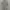 Levi's Y2K Casual Formal shirt Pria white gray photo 1