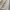 Y2K Casual Casual shirt Pria cream photo 4