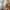 Japanese brand Streetwear Casual Windbreaker Pria cream photo 5