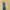 H&M Streetwear Capes & poncho Wanita yellow photo 2