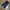 Puma Sportswear Casual Tracksuit Pria navy photo 1