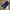 Puma Sportswear Casual Tracksuit Pria Navy