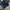 Puma Sportswear Casual Tracksuit Pria navy photo 5