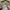 Uniqlo Y2K Casual Casual shirt Pria white tan photo 3