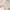 Japanese brand Casual Cardigan Pria cream photo 4