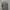 Yves Saint Laurent YSL Luxury Casual Harrington jacket Pria multicolor photo 3