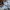 Hush Puppies Vintage Casual Casual shirt Pria white blue photo 4