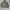 Stussy Streetwear Hoody Pria gray photo 1