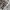 Stussy Streetwear Hoody Pria gray photo 4
