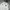 Sportswear Jersey Pria white photo 2