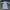 Asics Sportswear Jersey Pria multicolor white photo 2