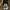 Streetwear Sportswear Hat Pria black gray photo 5