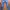 Casual Jeans Pria multicolor photo 2