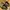 Adidas Streetwear Skater Sneakers Pria khaki black photo 7