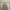Dickies Vintage Biker Hoody Pria gray photo 1