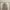 Dickies Vintage Biker Hoody Pria gray photo 2