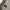 Calvin Klein Luxury Suit Pria gray photo 5