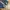 Vintage Pria blue photo 3