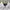 Polo Ralph Lauren Casual Formal shirt Pria white photo 4