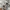 WHO.A.U Casual Sweatshirt Pria gray photo 4