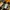 VANS Streetwear Skater Sneakers Pria white black photo 6