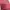 Champion Streetwear Sweater Pria pink photo 2