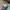 Streetwear Y2K Hat Pria multicolor photo 4