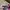 Streetwear Skater Hat Pria multicolor photo 5