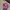 Streetwear Skater Hat Pria multicolor photo 1