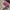 Streetwear Skater Hat Pria multicolor photo 3