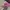 Streetwear Skater Hat Pria multicolor photo 2