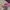 Streetwear Skater Hat Pria Multicolor