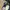 Vintage Y2K Hat Pria white navy photo 6