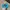 Streetwear Y2K Hat Pria multicolor photo 3