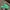 Vintage Streetwear Hat Pria Multicolor