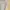 Cecil Coquette Casual Bodycon dress Wanita multicolor photo 2