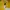 Adidas Y2K Hoody Pria yellow photo 3