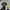 Vintage Streetwear Hat Pria black yellow photo 2