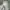 Under Armour Vintage Hoody Pria silver photo 2